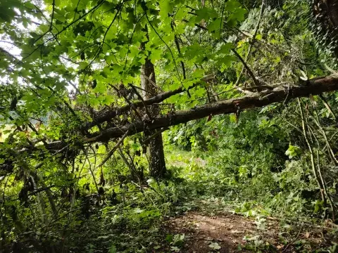 První padnutý stroj, a to nic nebylo. Později již nebyl čas fotit cyklotrasu 17, ale spíše nosit kolo